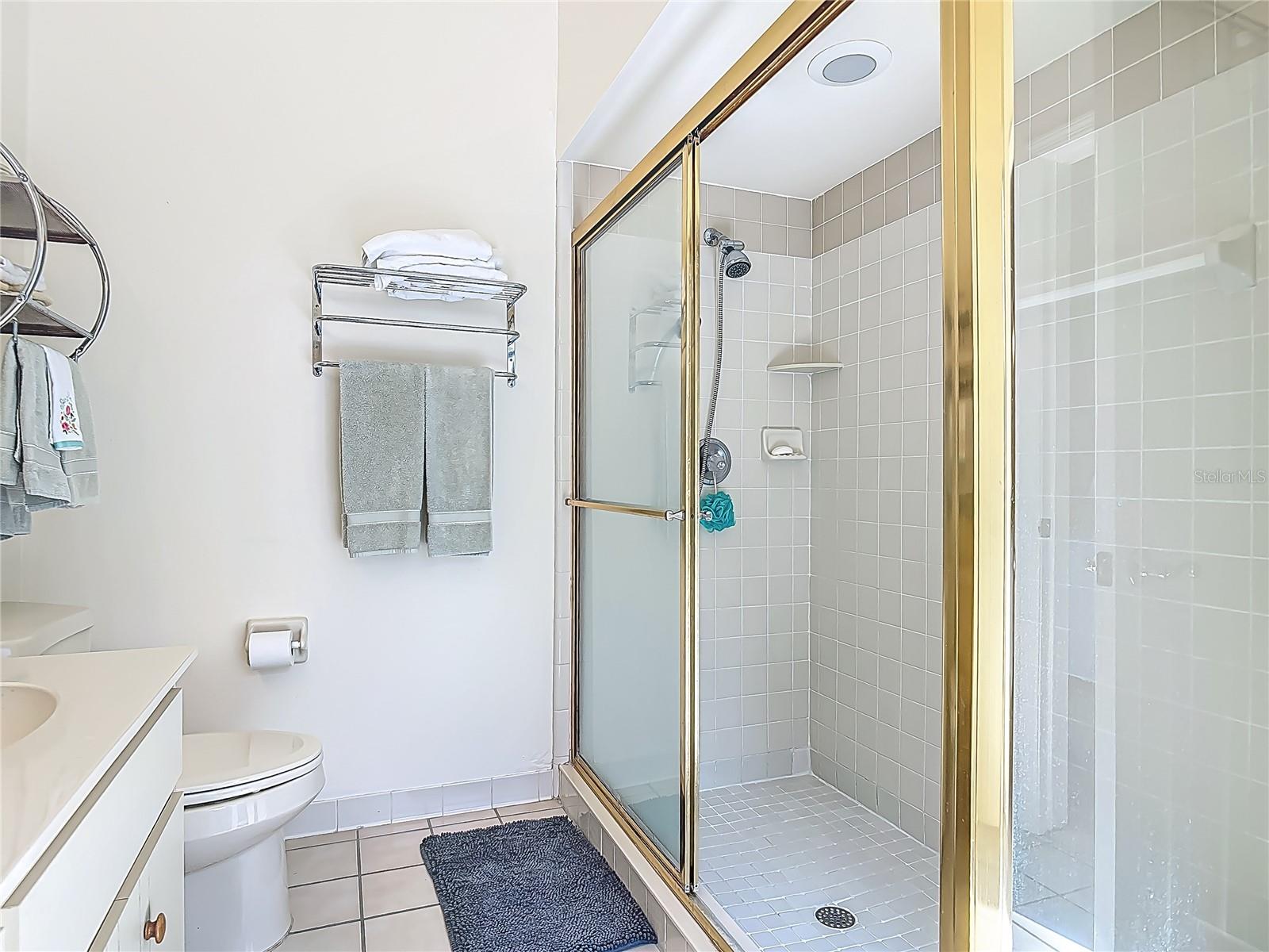 Image 36 of 56 For 907 Silver Leaf Place