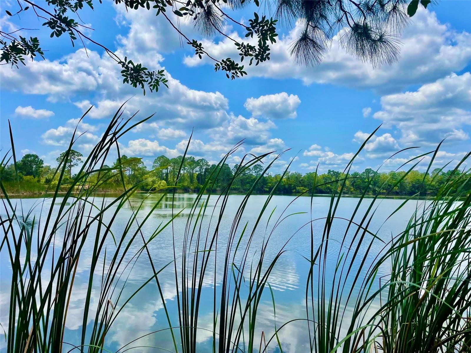 Details for 5000 Blounts Ridge Road, MIMS, FL 32754