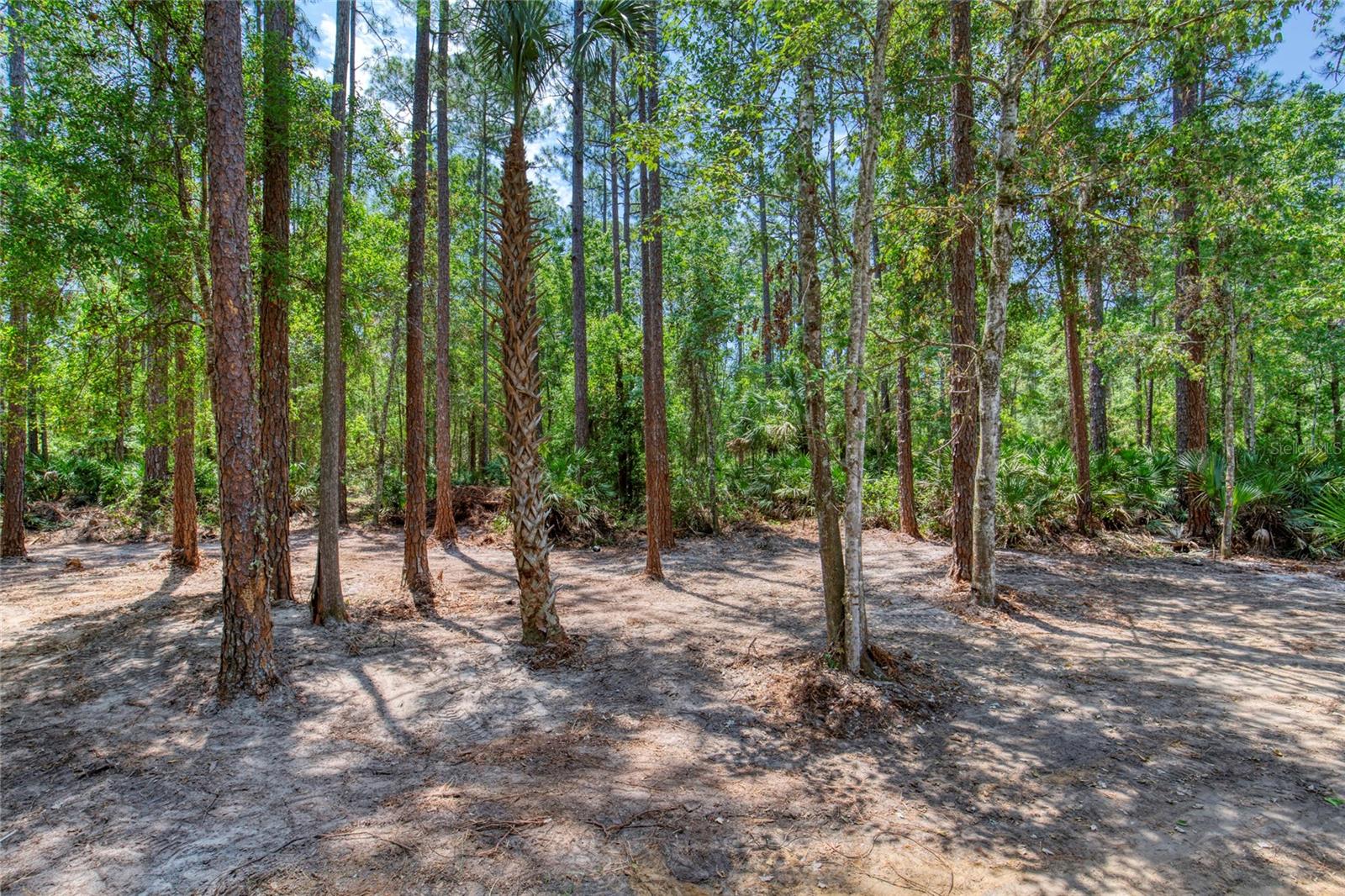 Image 38 of 58 For 2089 Guava Lane