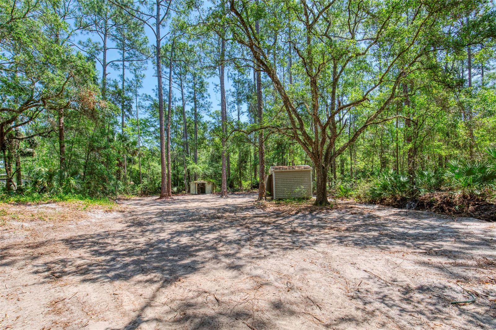 Image 41 of 58 For 2089 Guava Lane