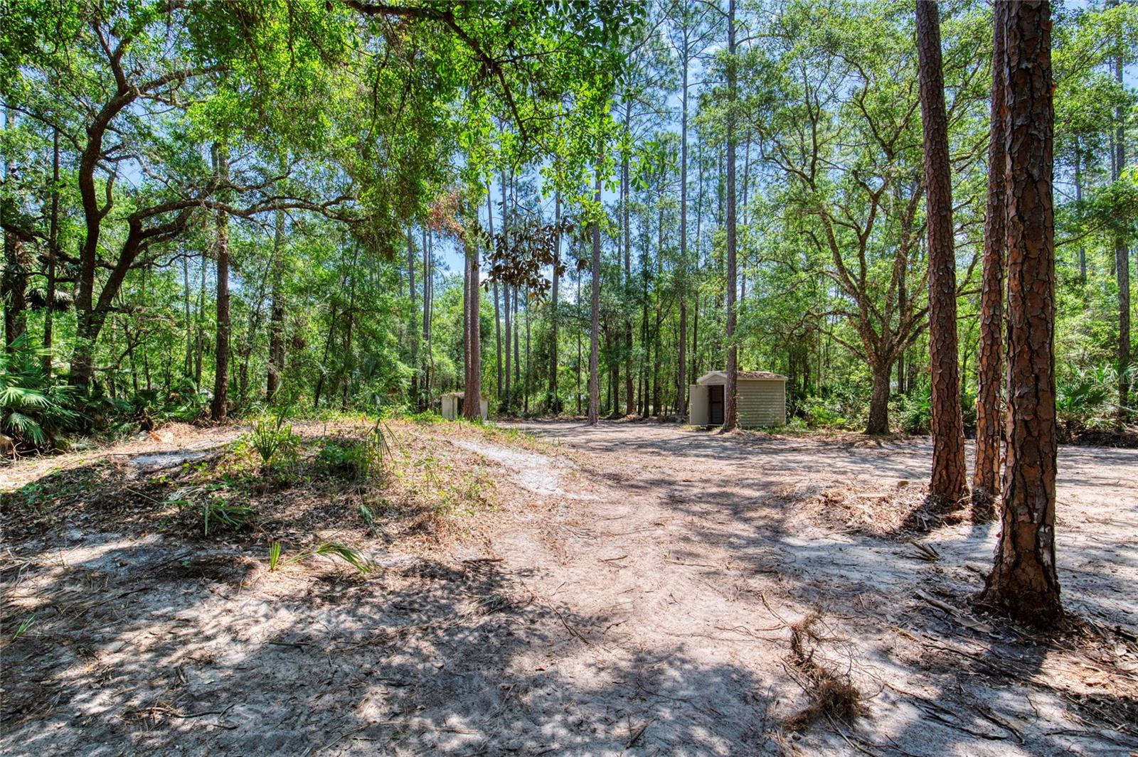 Image 43 of 58 For 2089 Guava Lane