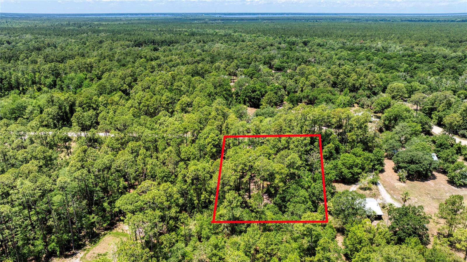 Image 53 of 58 For 2089 Guava Lane