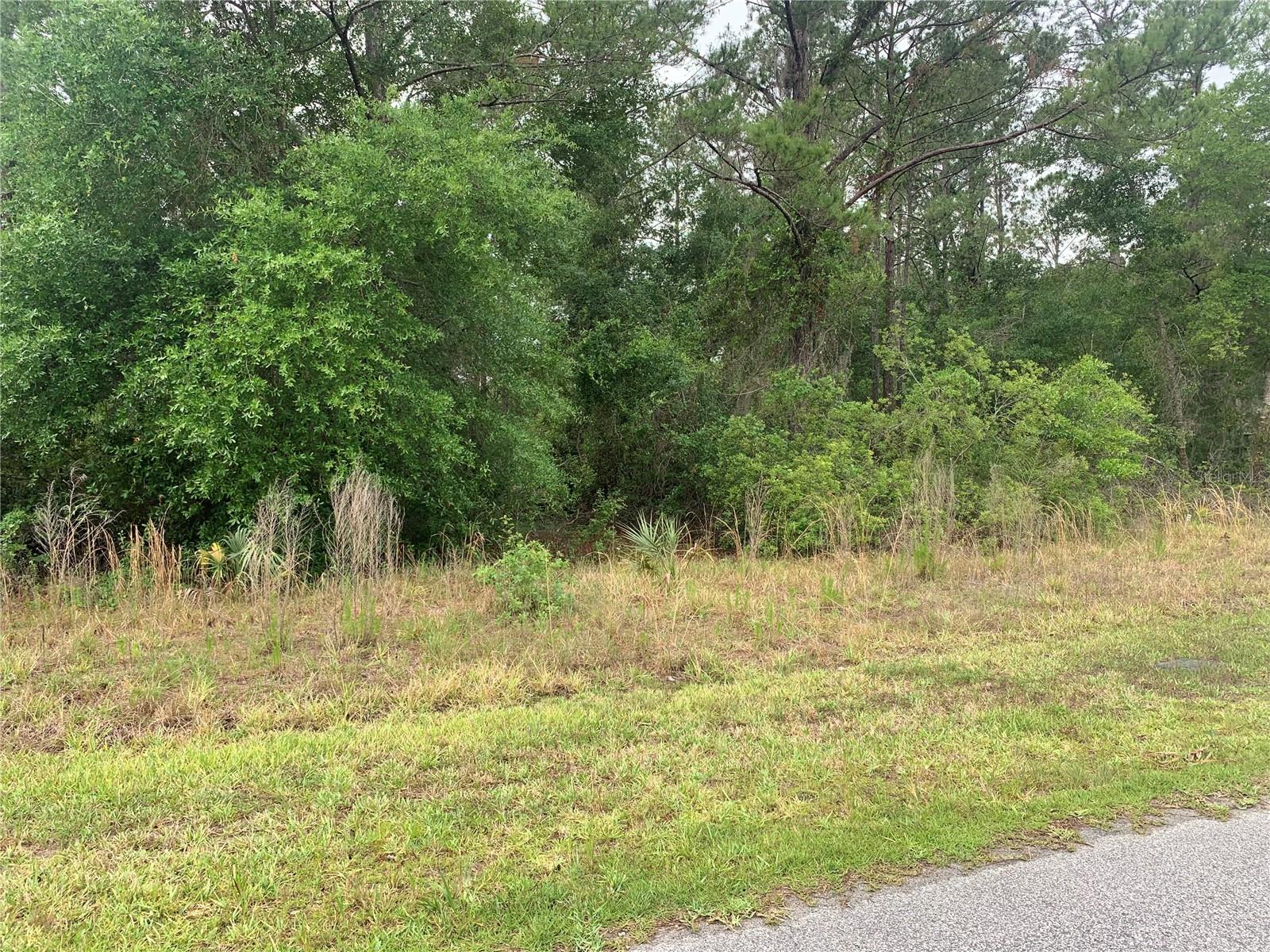 Image 2 of 5 For 525 Live Oak Loop