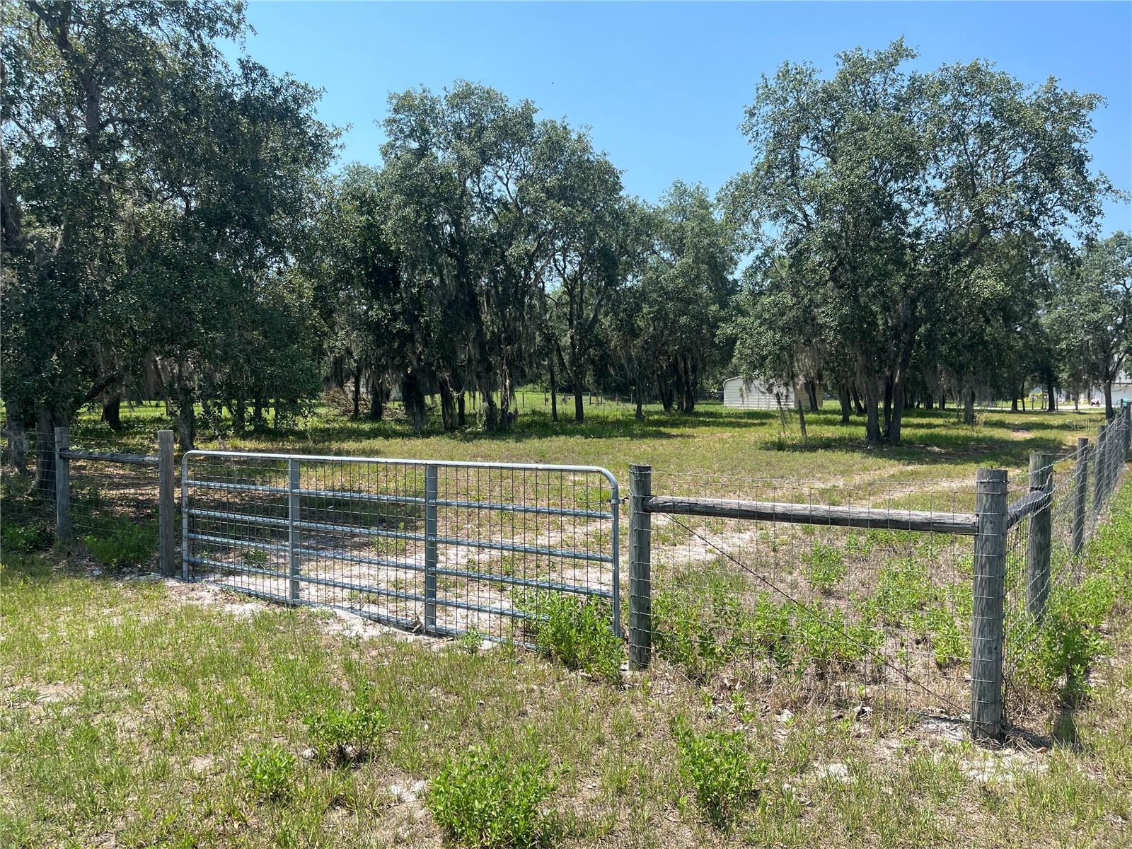 Details for Shaw Lake Road, PIERSON, FL 32180