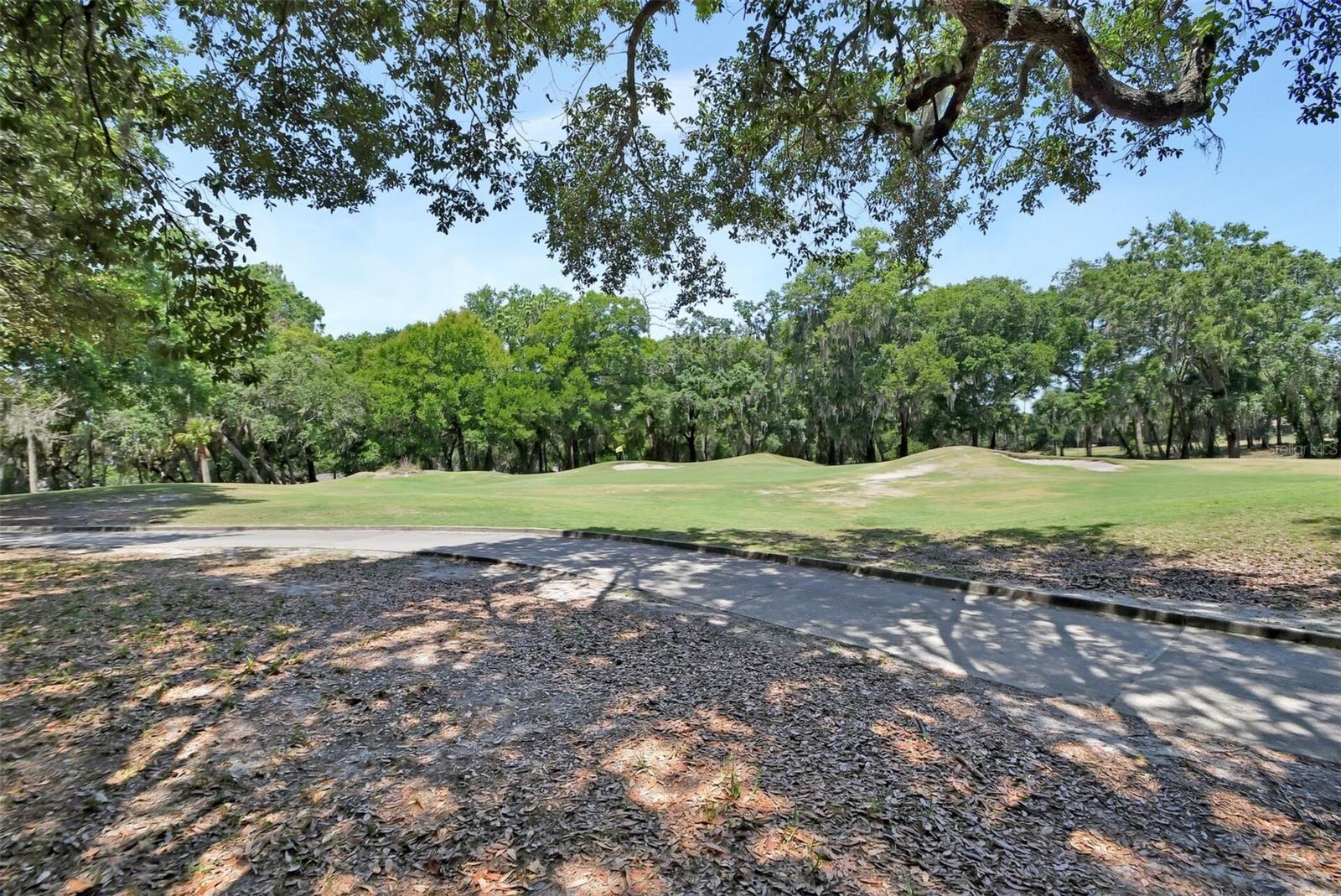 Image 43 of 52 For 171 Birchmont Drive
