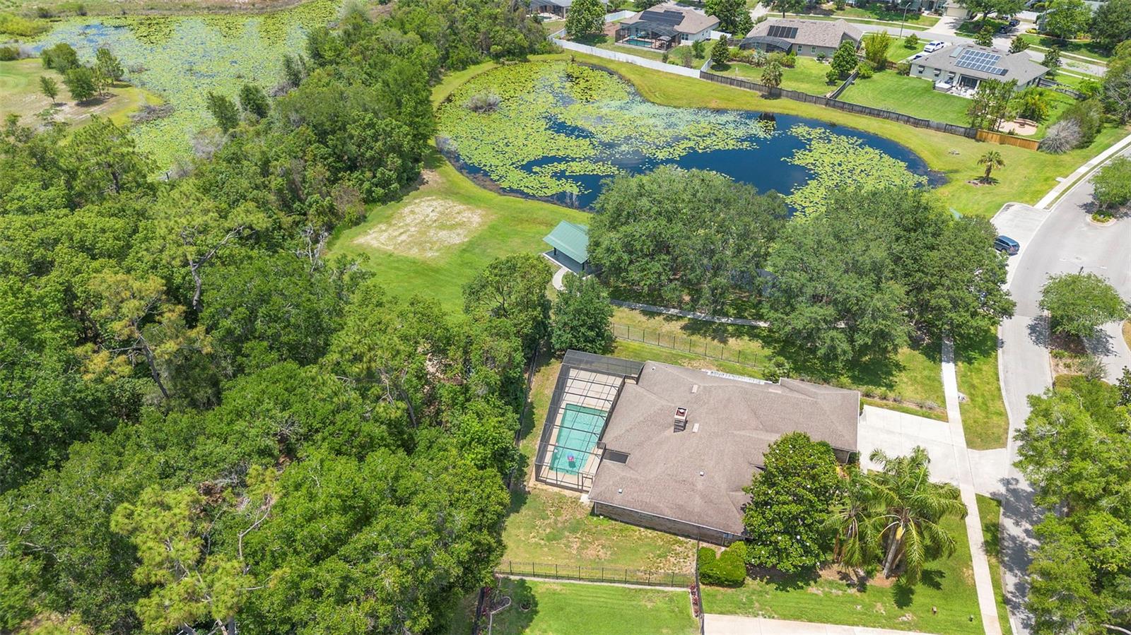 Image 56 of 57 For 980 Marjorie Rawlings Drive