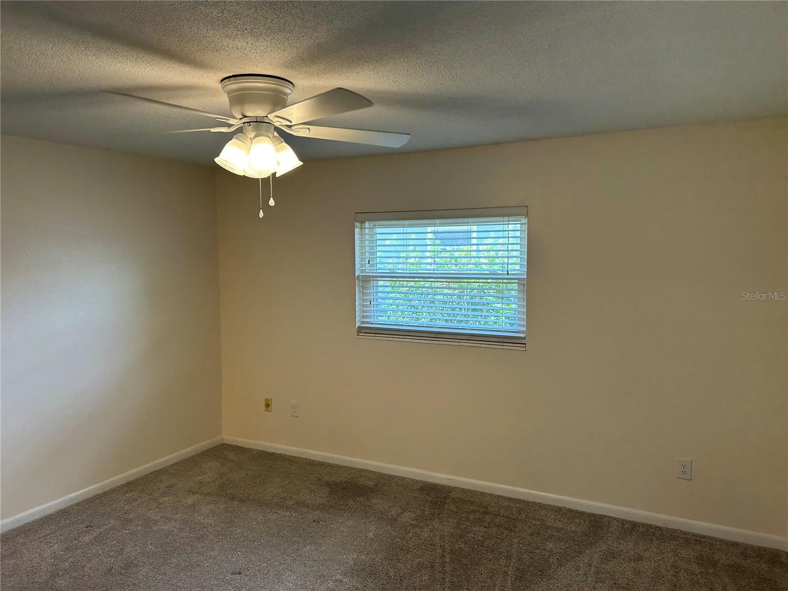 Image 7 of 15 For 233 Elmwood Avenue 290