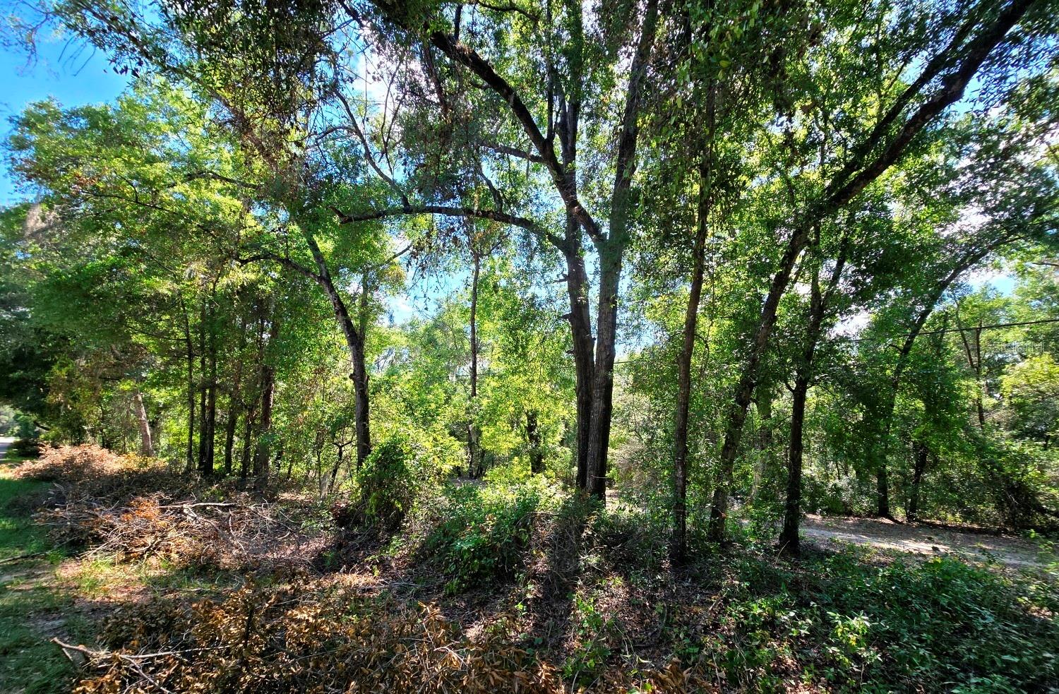 Image 4 of 10 For 162 Putnam Loop Road