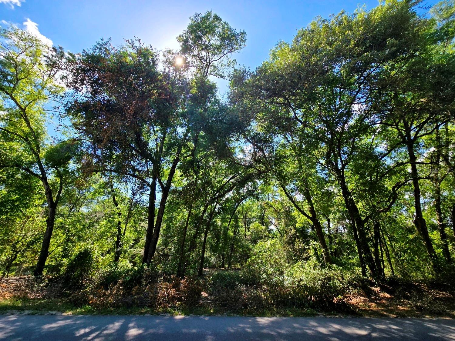 Image 5 of 10 For 162 Putnam Loop Road