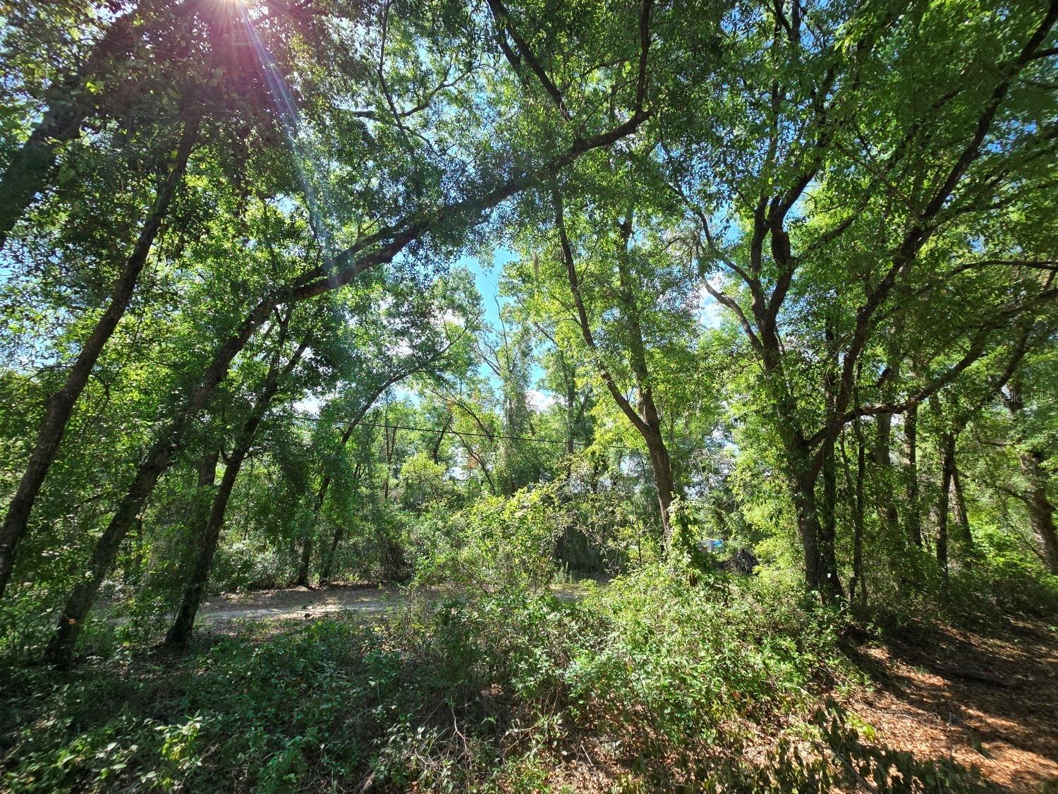 Image 6 of 10 For 162 Putnam Loop Road