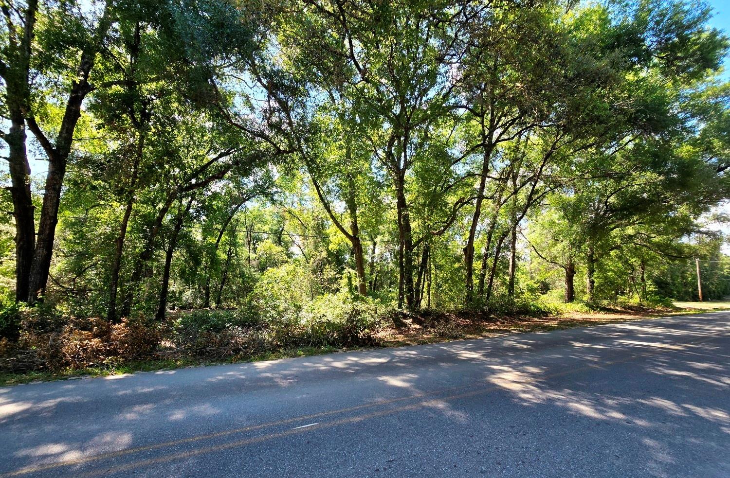 Image 7 of 10 For 162 Putnam Loop Road
