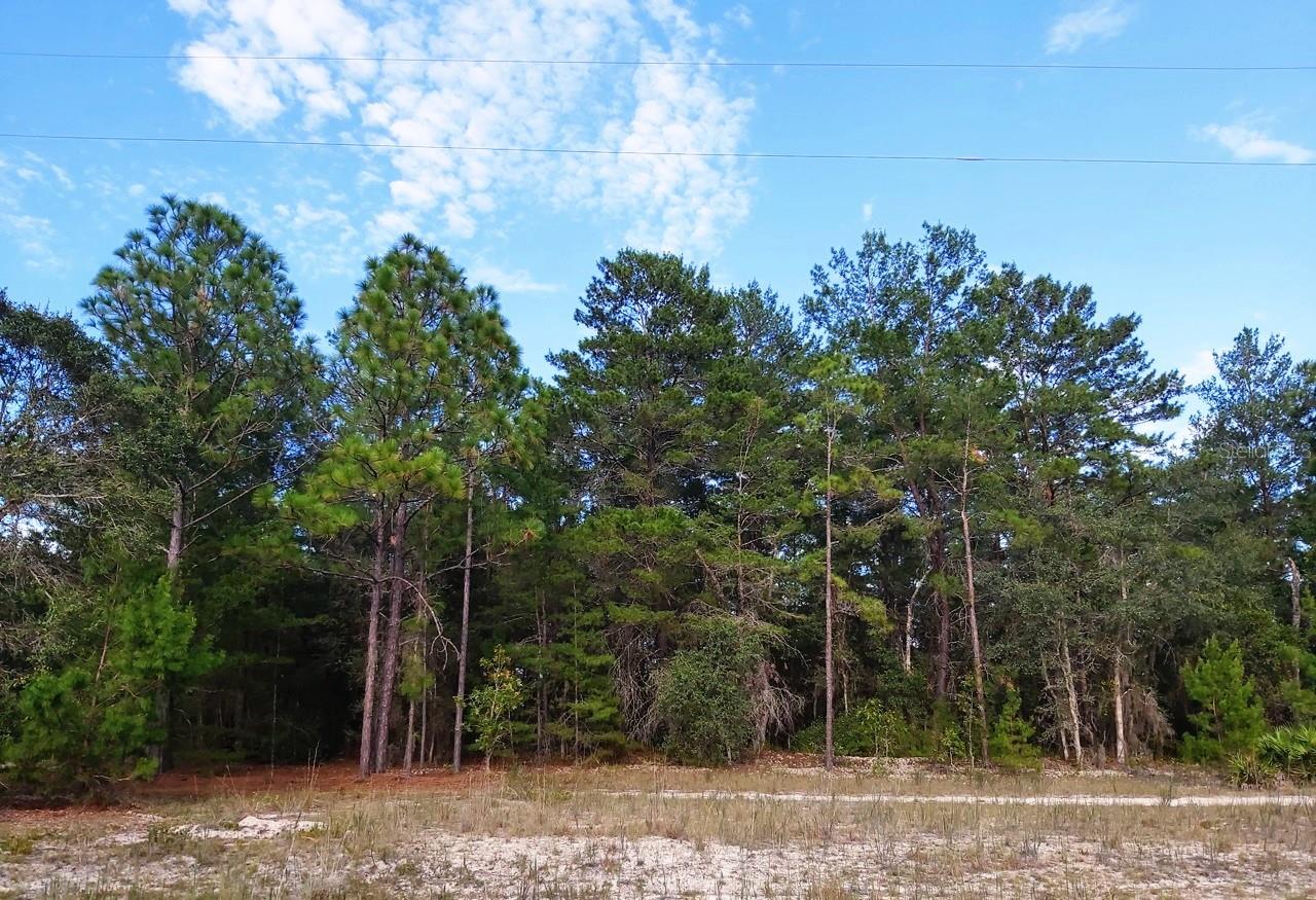 Details for  Donovan Ave  , INTERLACHEN, FL 32148