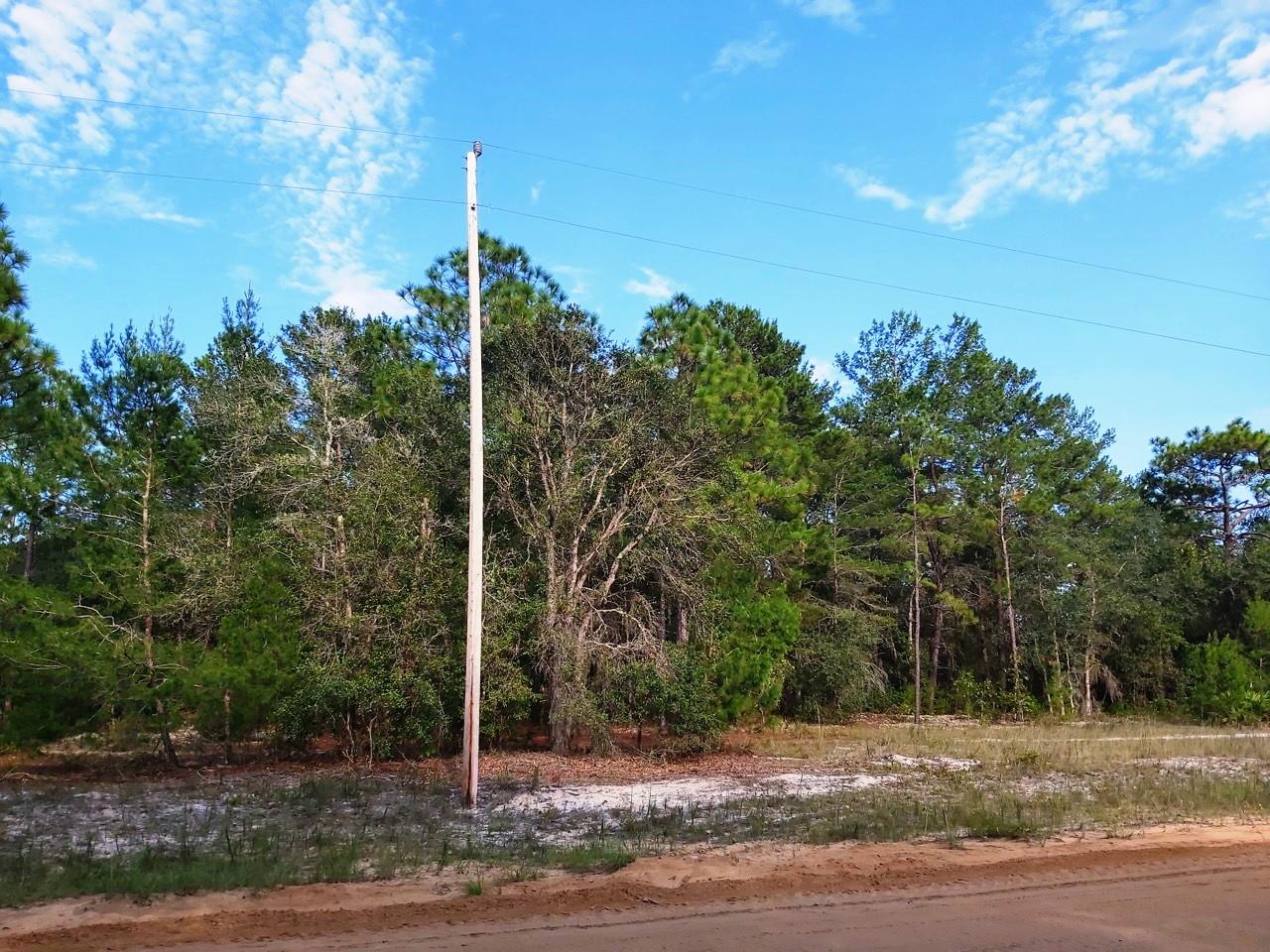 Image 4 of 11 For  Donovan Ave  