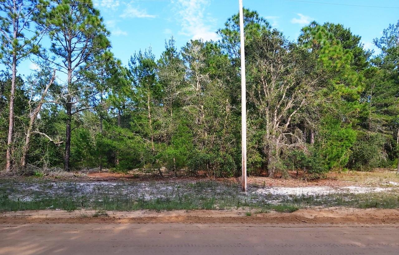 Image 8 of 11 For  Donovan Ave  