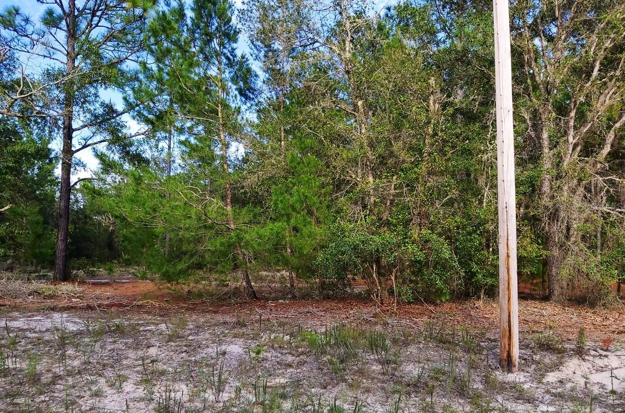 Image 9 of 11 For  Donovan Ave  