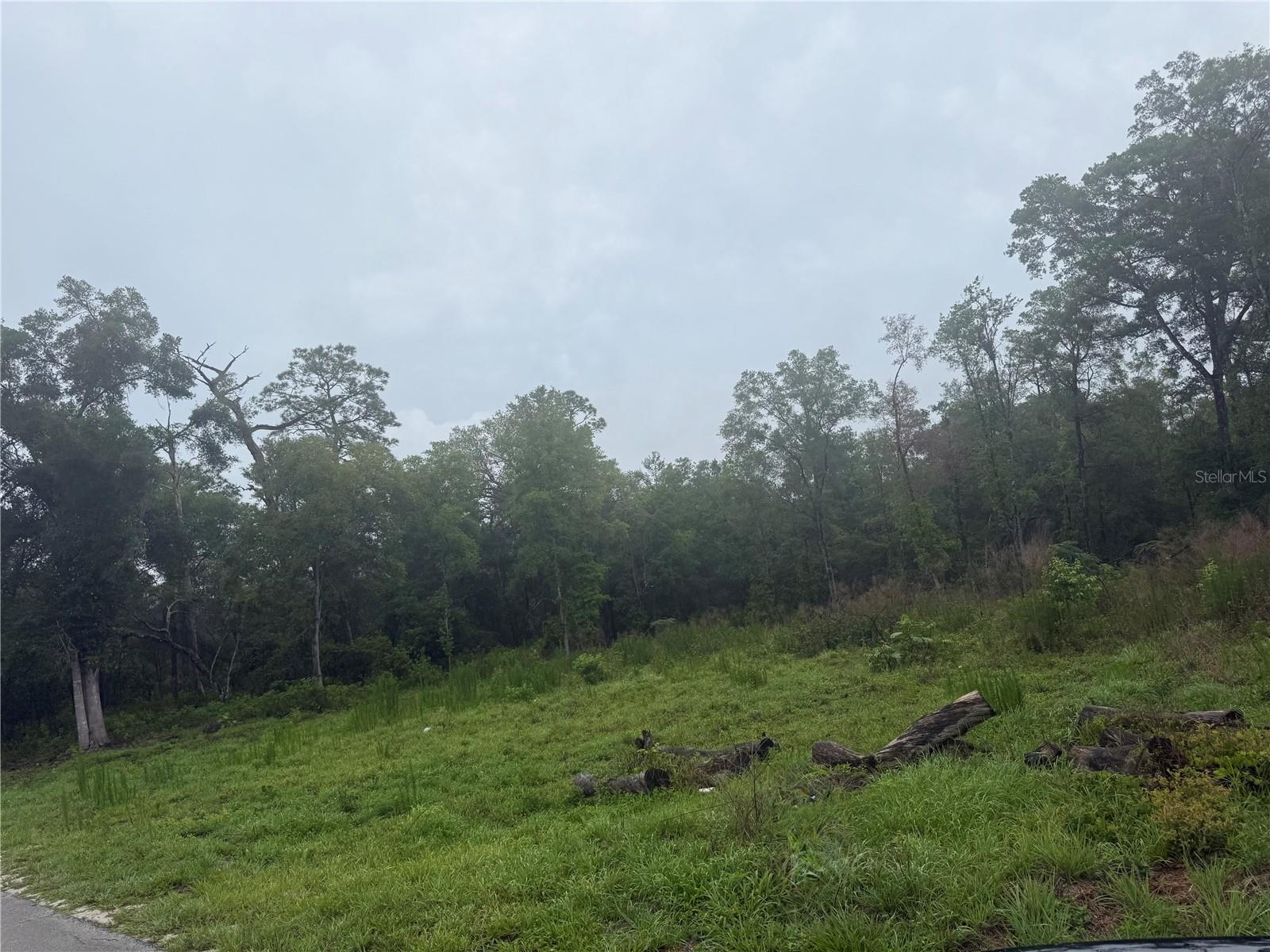 Details for 5751 James Street, DE LEON SPRINGS, FL 32130