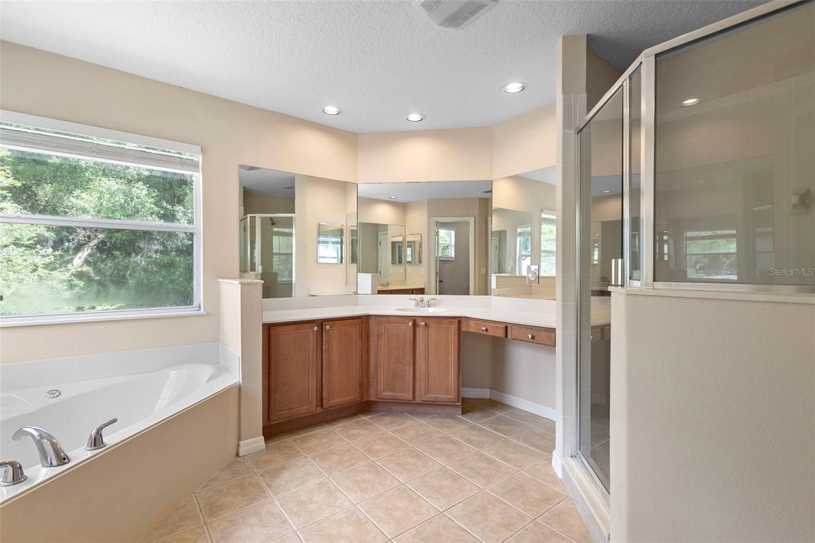Image 12 of 53 For 227 Blue Crystal Drive