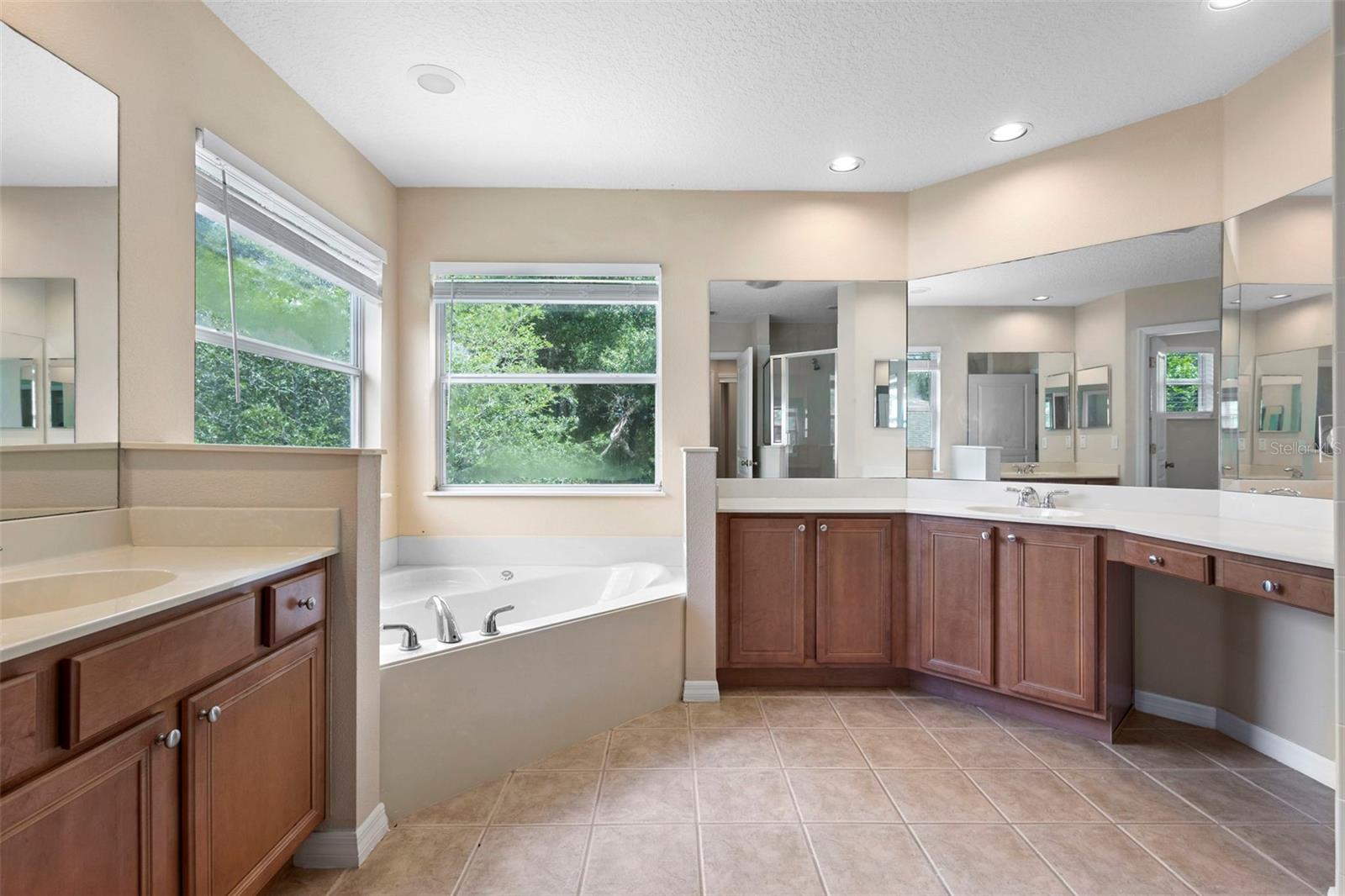 Image 13 of 53 For 227 Blue Crystal Drive