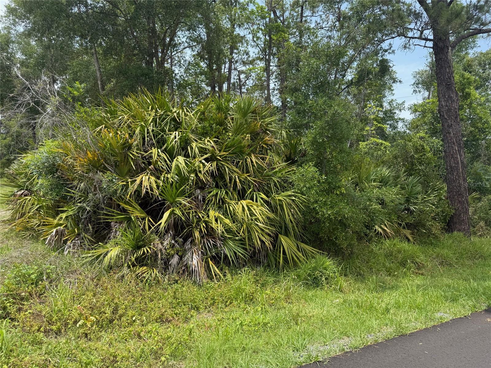 Details for  7th Avenue , DELAND, FL 32724