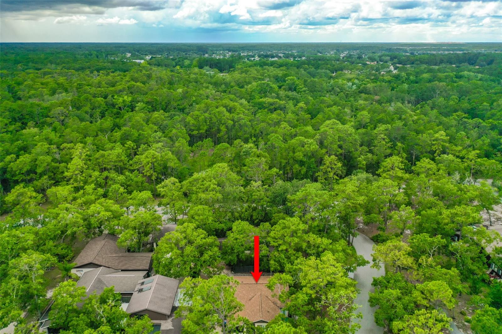 Image 31 of 38 For 127 Cypress Pond Road