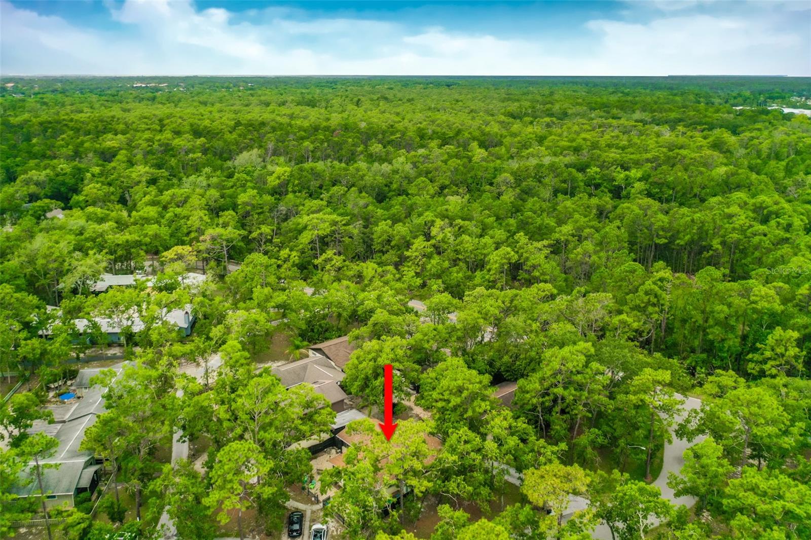 Image 32 of 38 For 127 Cypress Pond Road