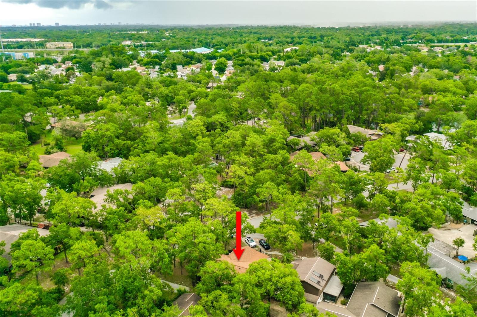 Image 36 of 38 For 127 Cypress Pond Road