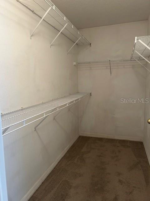 Image 6 of 16 For 3155 Mapleshade Street