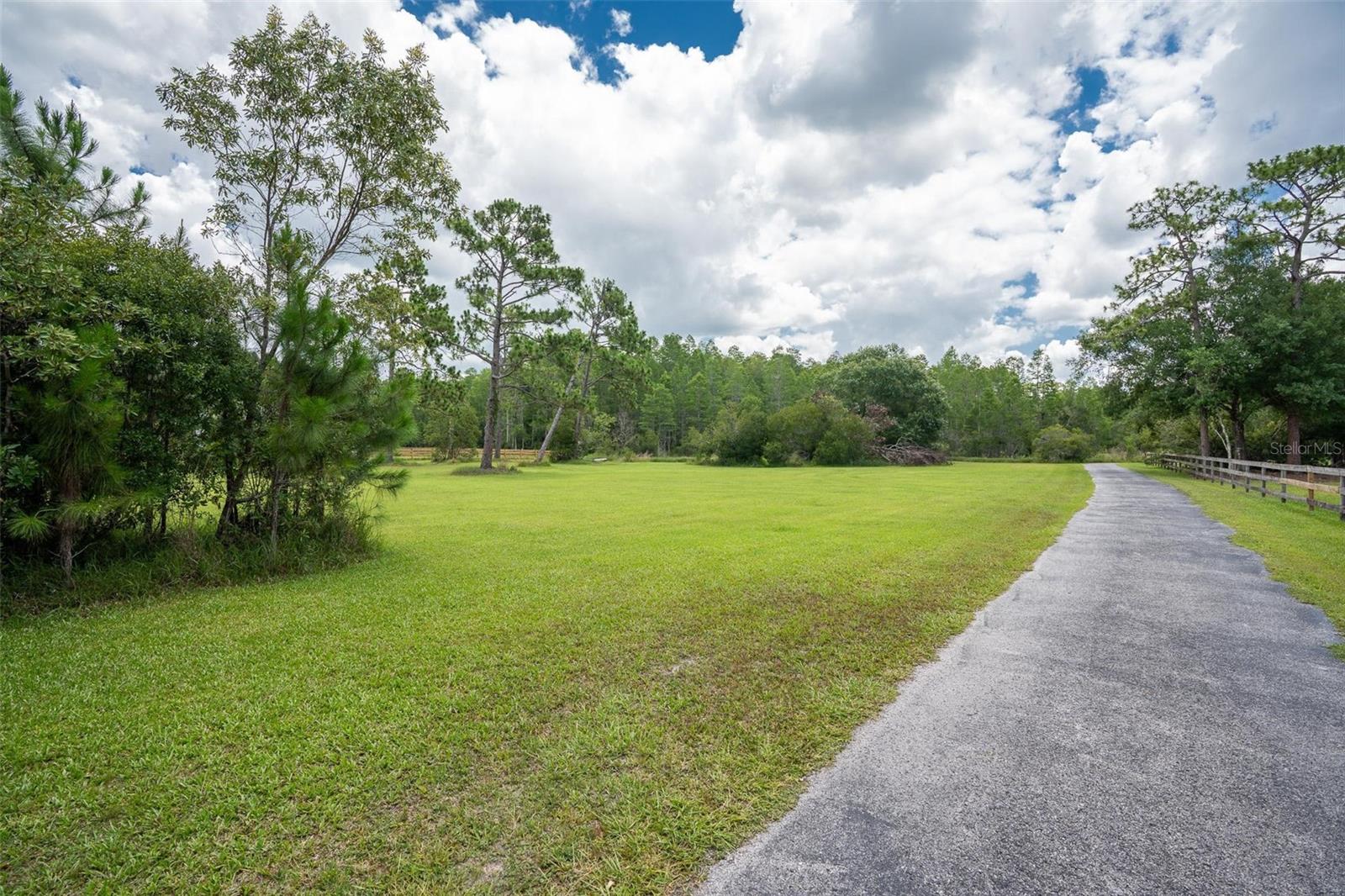 Image 37 of 65 For 11933 Pasco Trails Boulevard