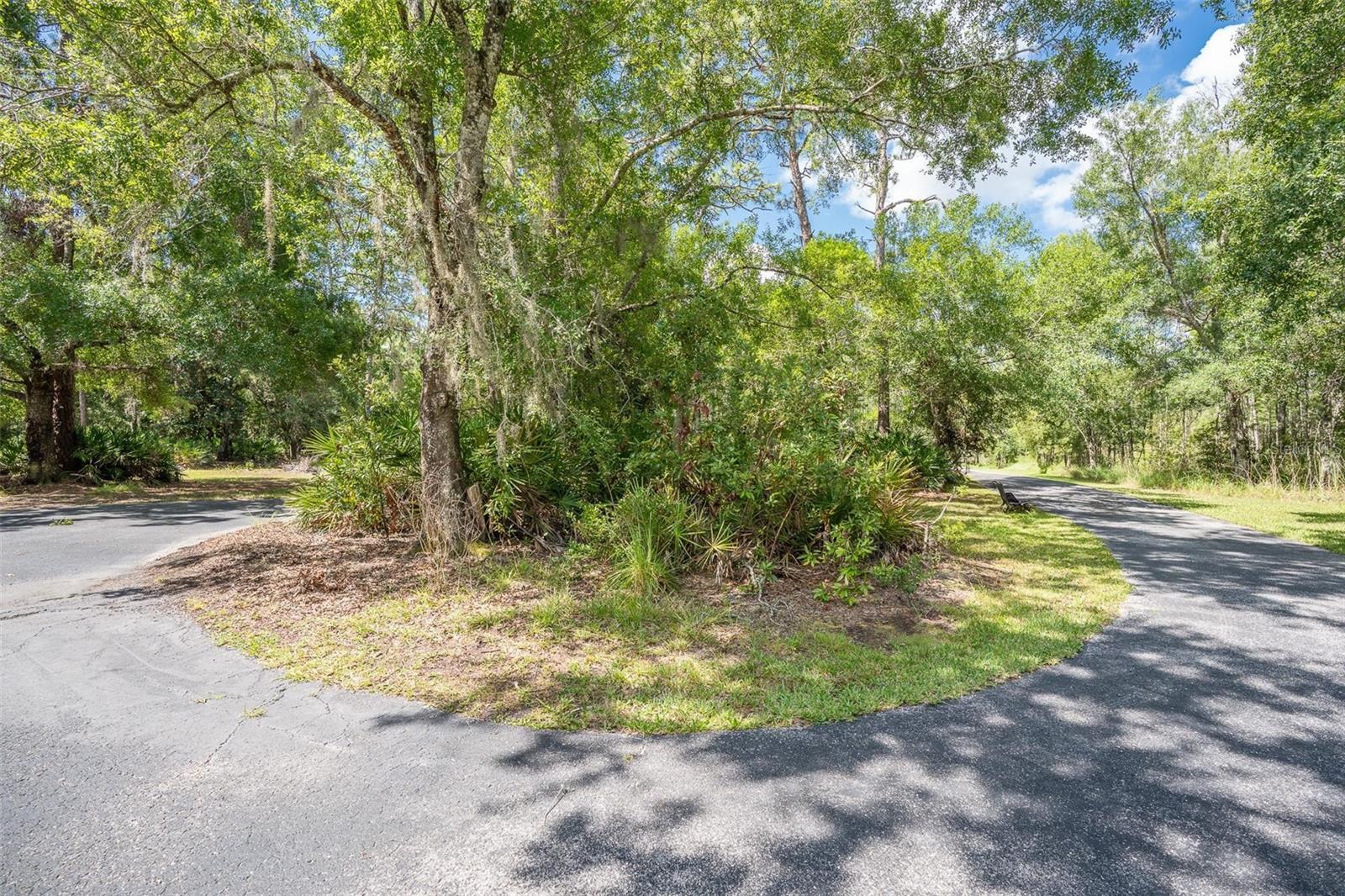 Image 41 of 65 For 11933 Pasco Trails Boulevard