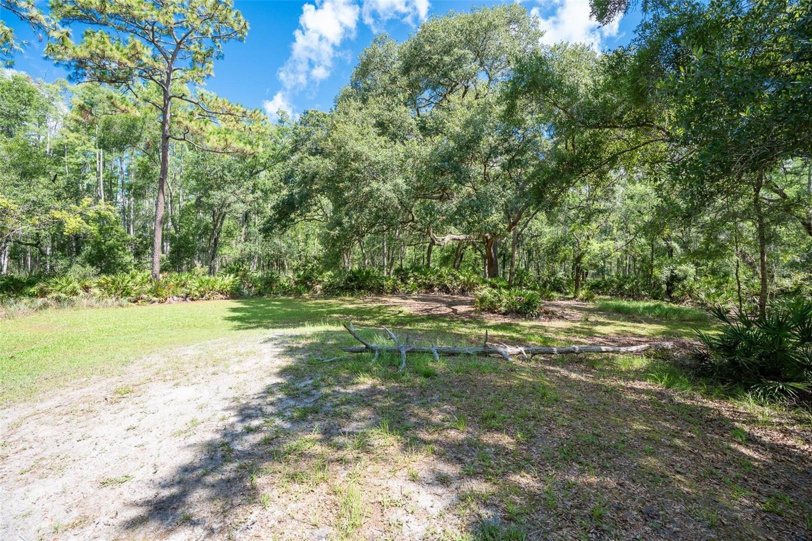 Image 54 of 65 For 11933 Pasco Trails Boulevard