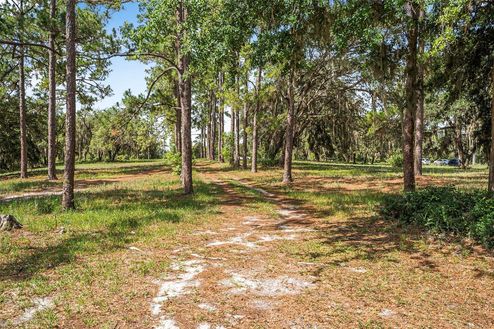 Image 47 of 55 For 2620 Doyle Road