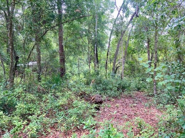 Image 2 of 7 For 407 Raulerson Road