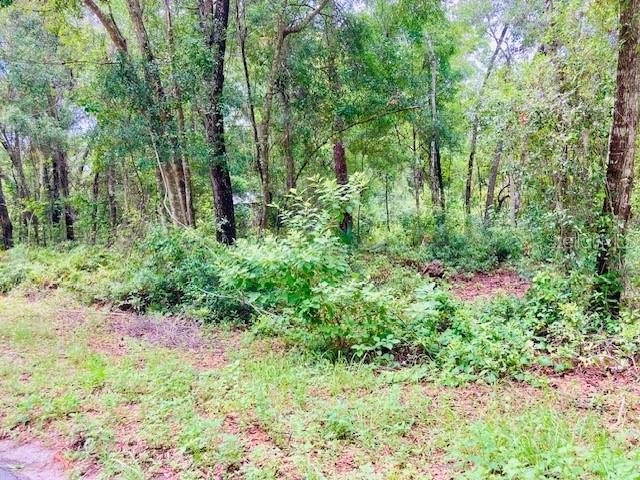 Image 6 of 7 For 407 Raulerson Road
