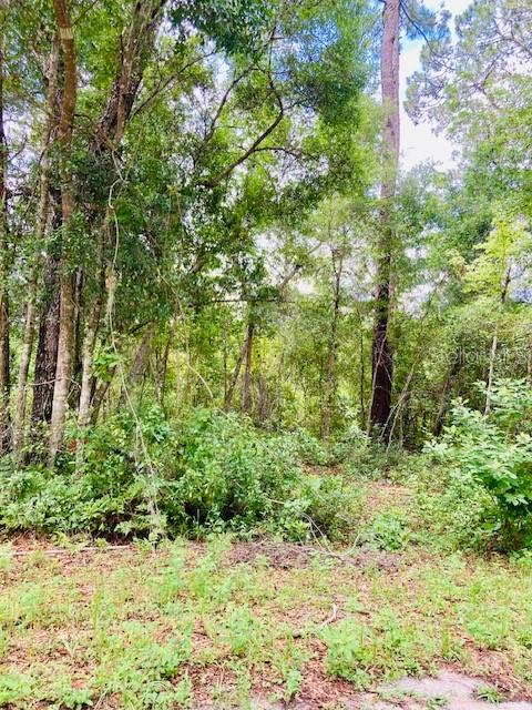 Image 7 of 7 For 407 Raulerson Road