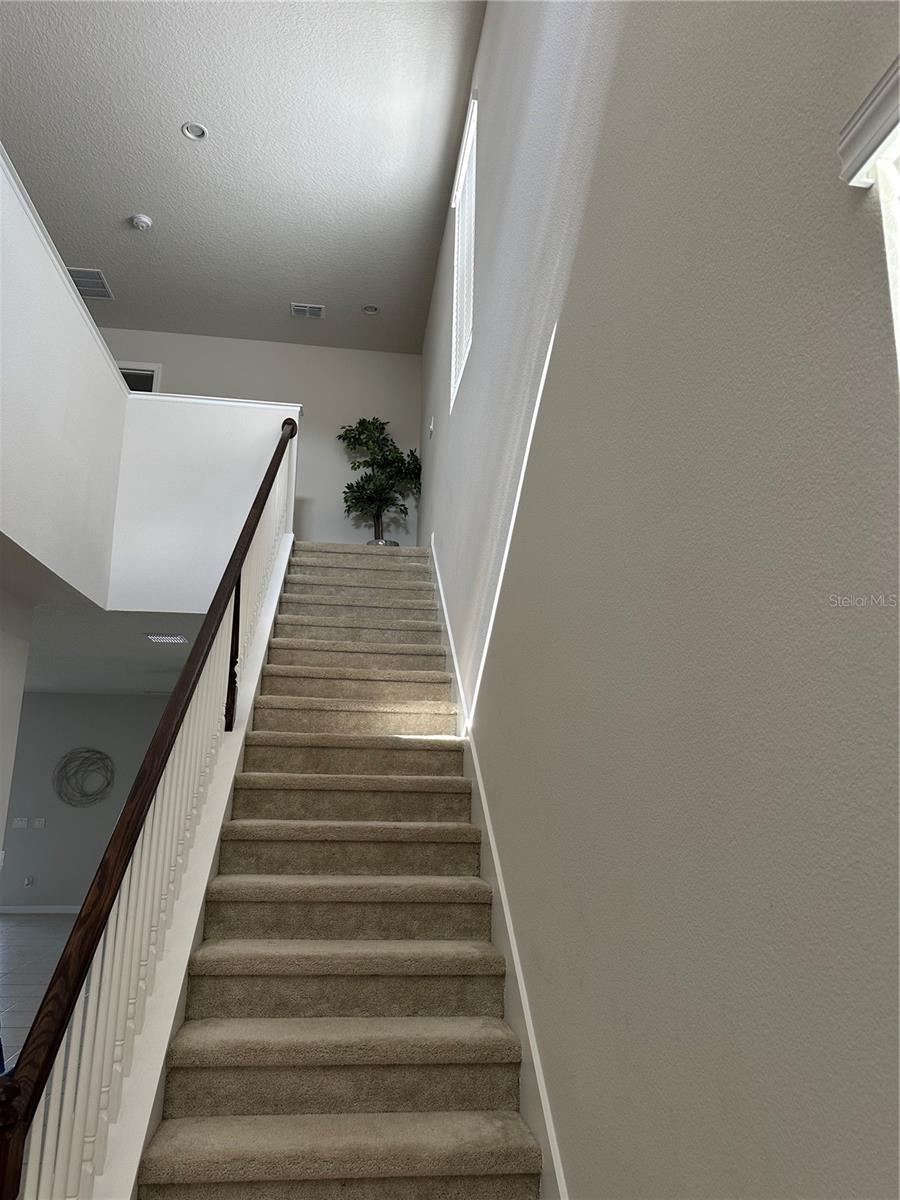 Image 5 of 25 For 3619 Voyager Lane