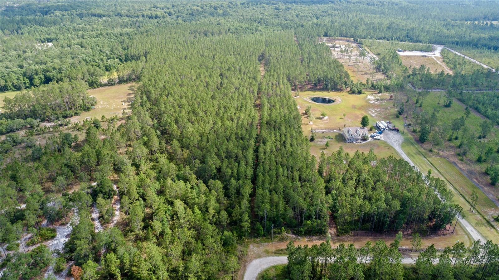 Image 6 of 11 For Wild Cur Road