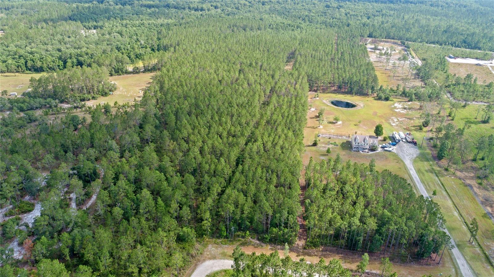 Image 7 of 11 For Wild Cur Road