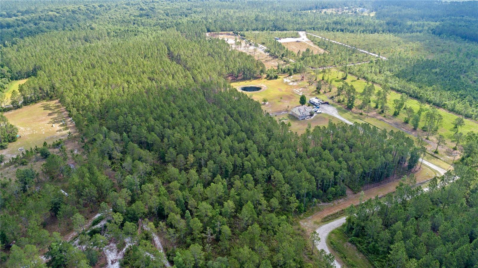 Image 8 of 11 For Wild Cur Road