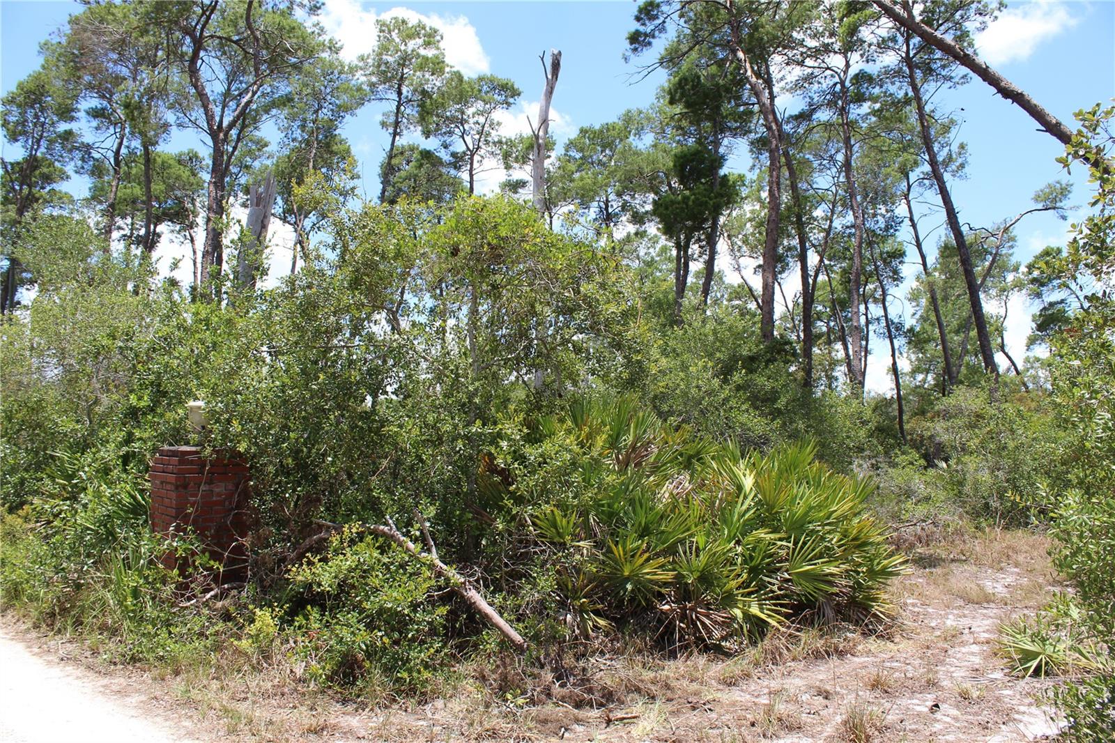 Image 5 of 22 For Anderson Street