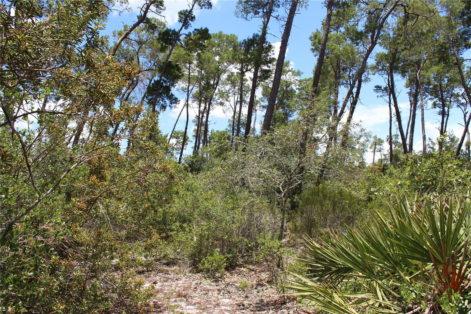Image 8 of 22 For Anderson Street