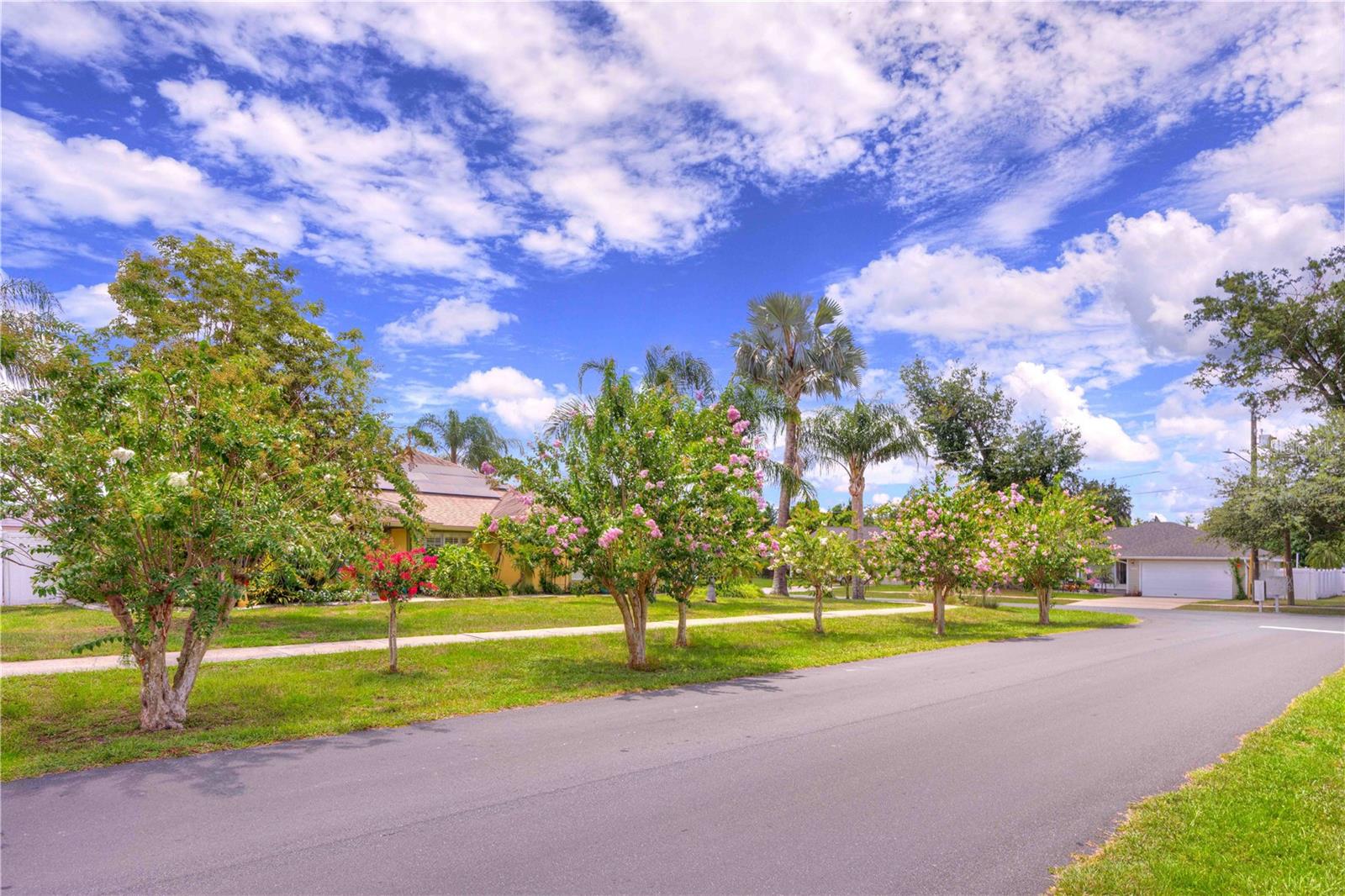 Image 49 of 51 For 1131 Lemonwood Avenue