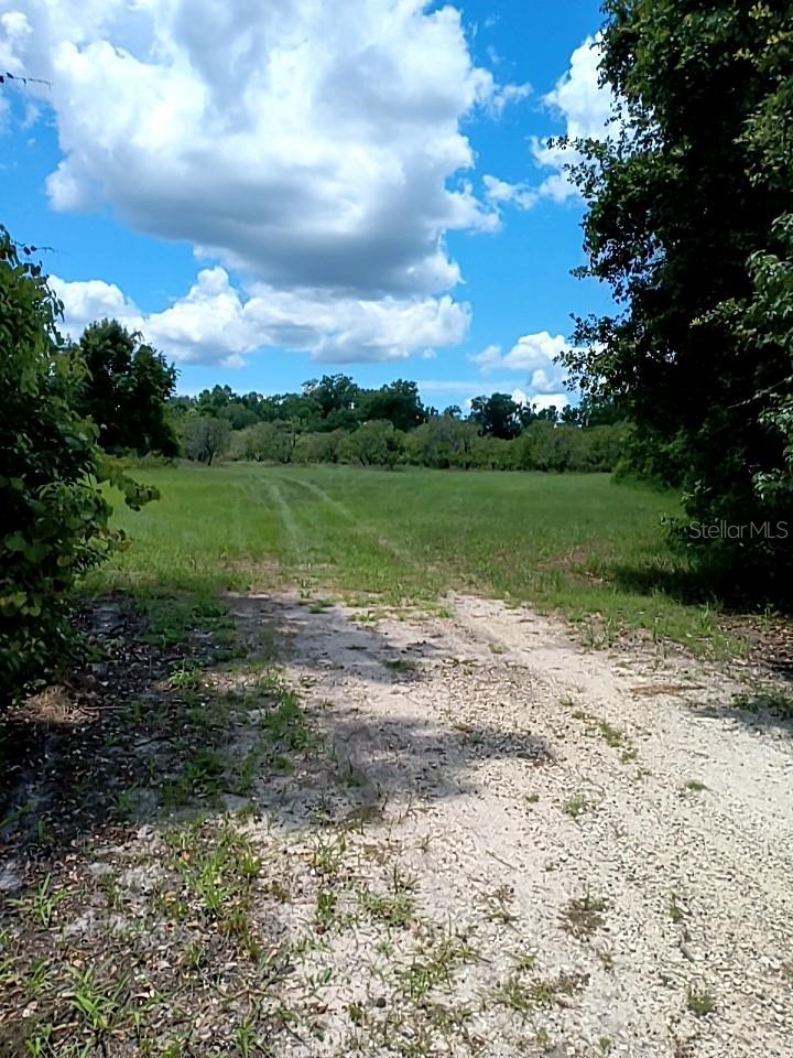 Image 11 of 25 For  No Street  
