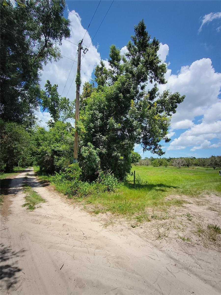 Image 17 of 25 For  No Street  