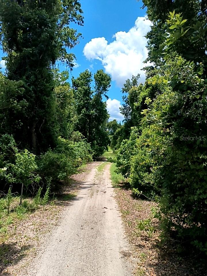 Image 22 of 25 For  No Street  