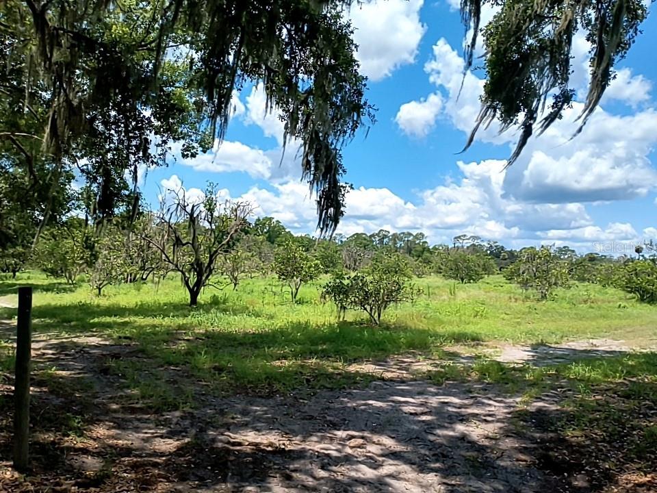 Image 4 of 25 For  No Street  