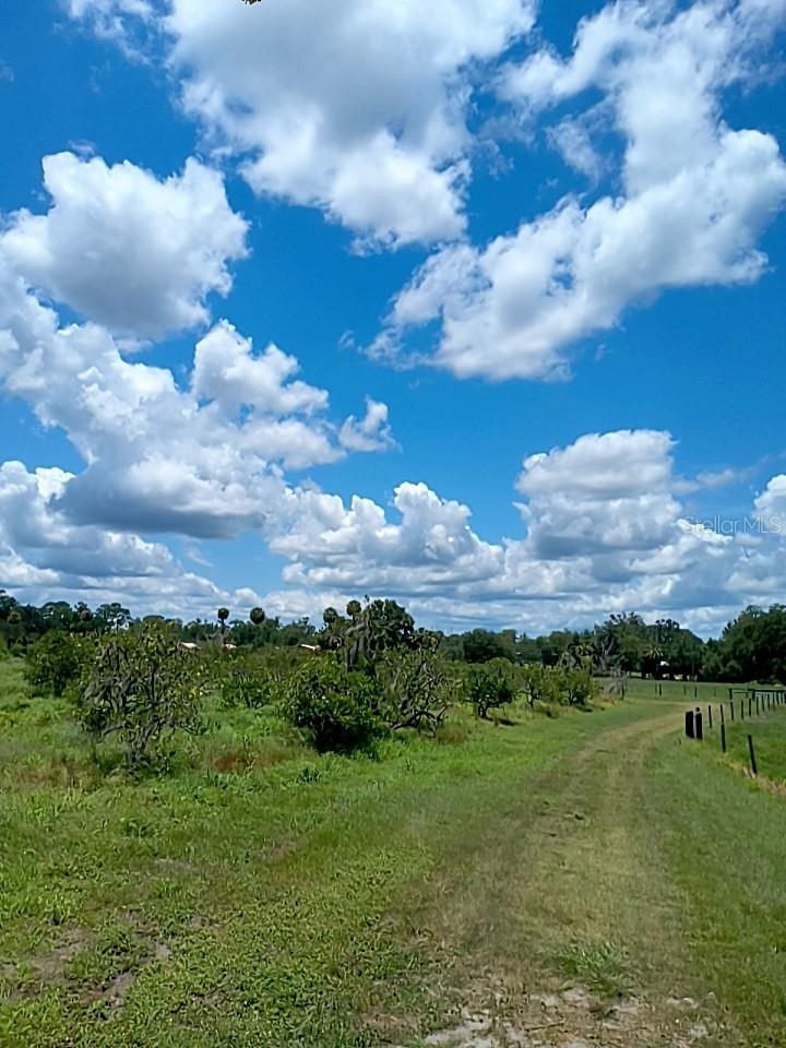 Image 5 of 25 For  No Street  