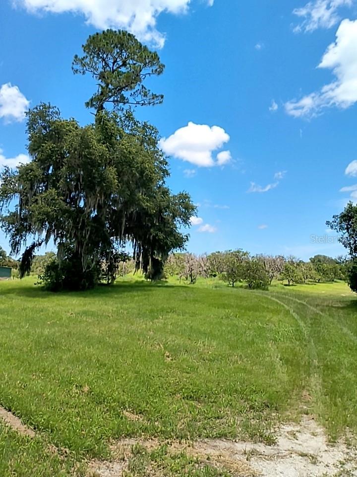 Image 9 of 25 For  No Street  