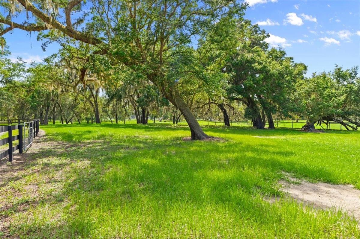 Image 38 of 100 For 4885 State Road 11