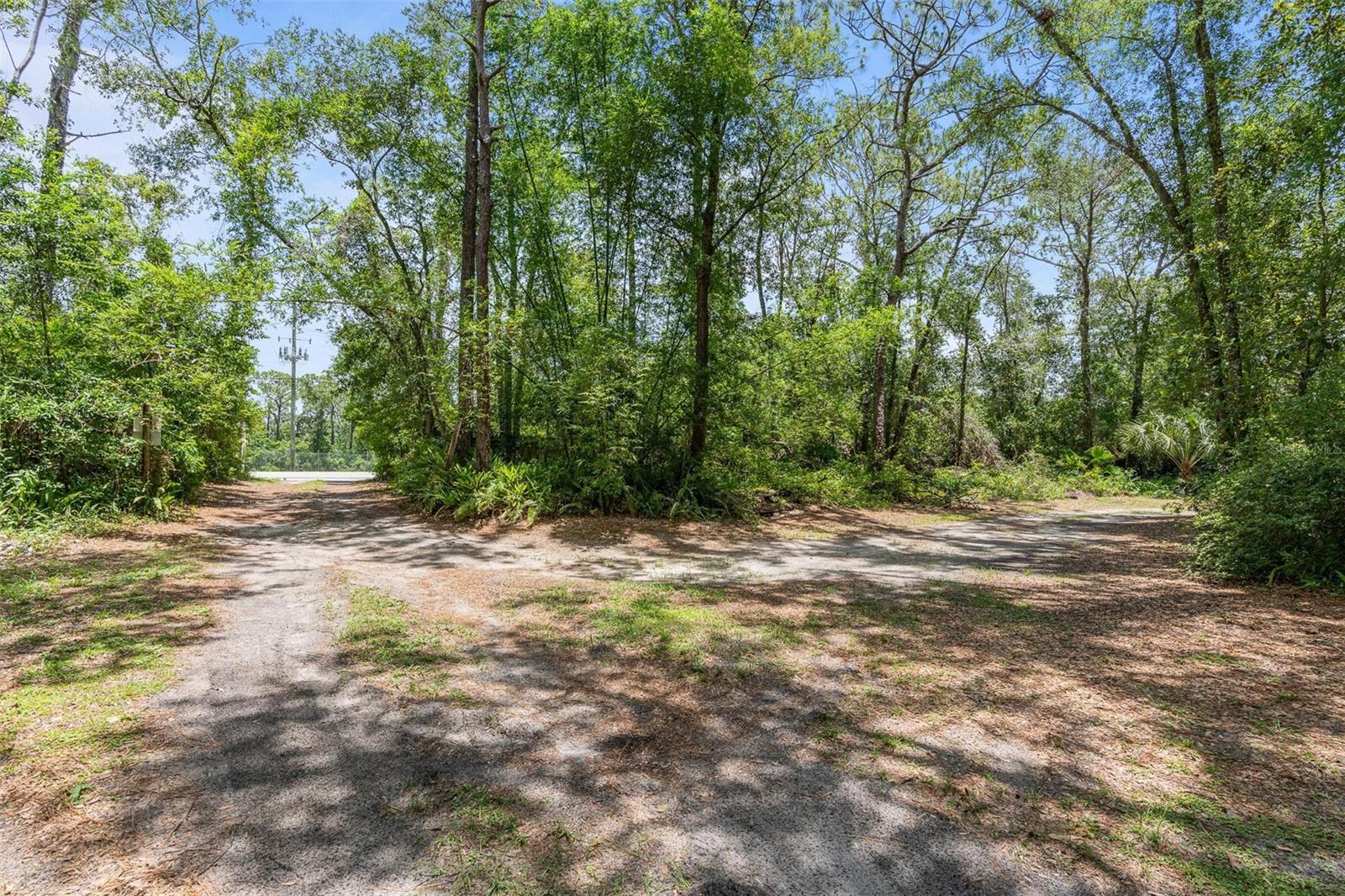 Image 45 of 55 For 2 Kelly Park Road