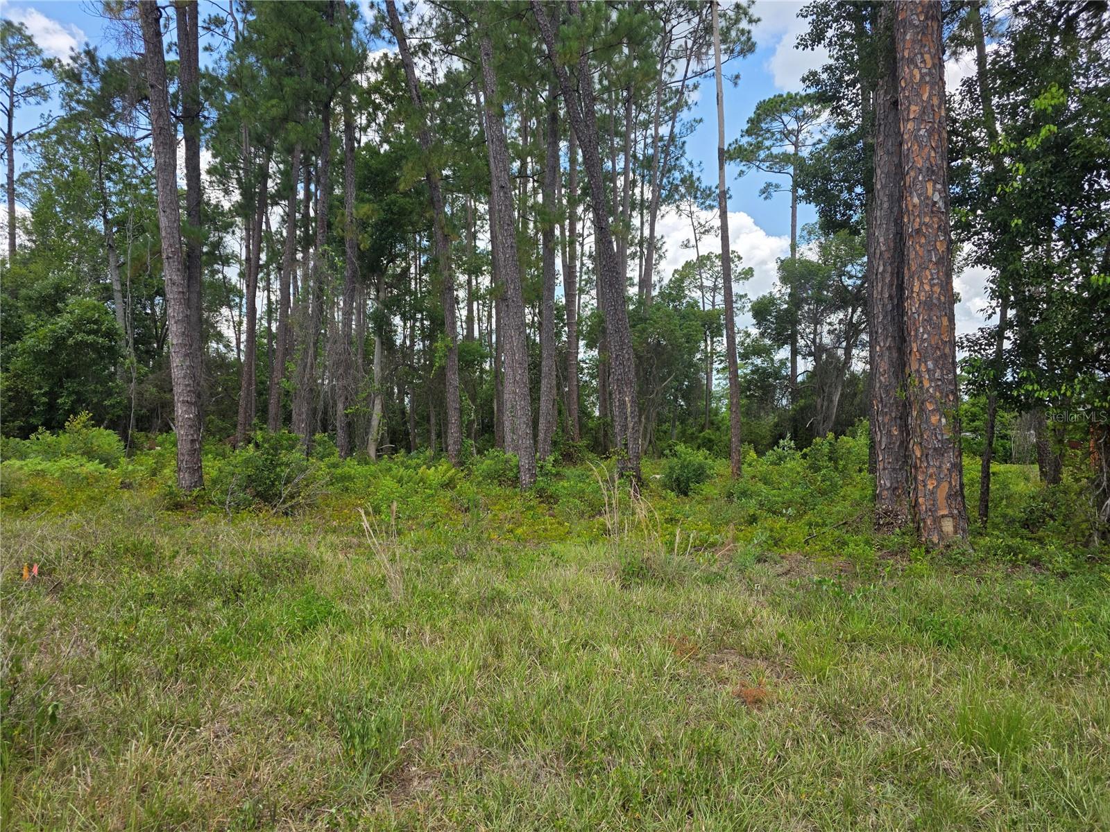 Image 10 of 26 For 1480, 1478, 1476 6th Avenue